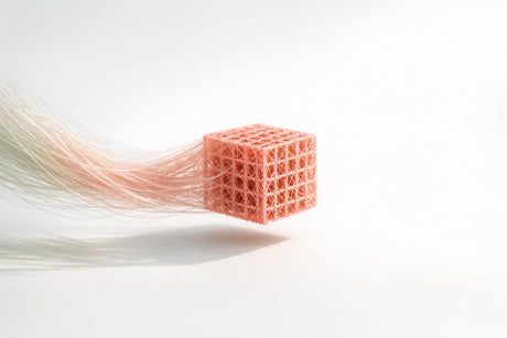 Mark Post and the First Cultivated Burger